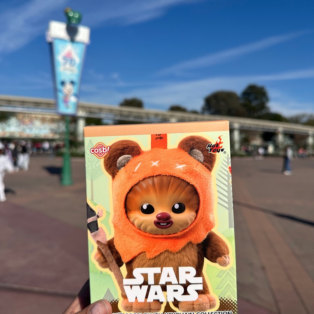 Ewoks Cosbi Mystery Plush Keychain Collection Blind Box by Hot Toys – Star Wars